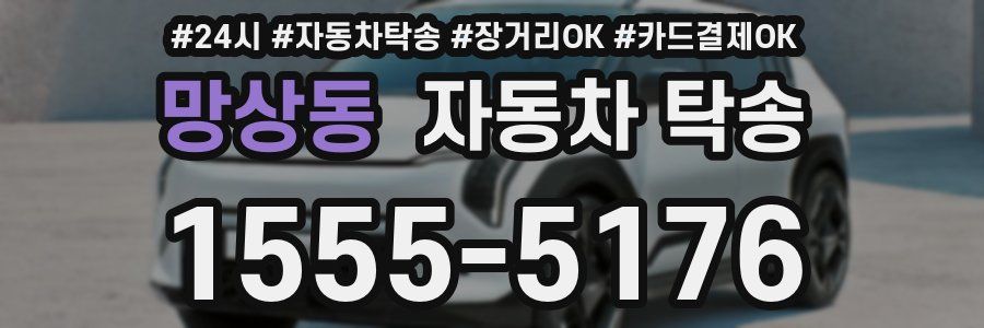 망상동 자동차 탁송