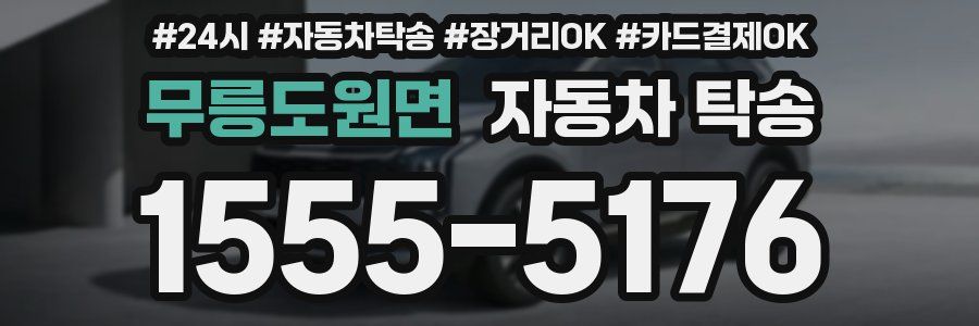 무릉도원면 자동차 탁송