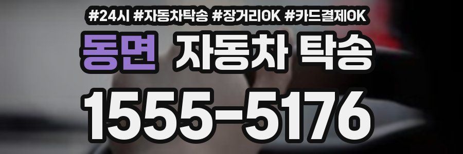 동면 자동차 탁송