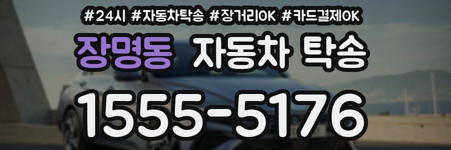 장명동 자동차 탁송