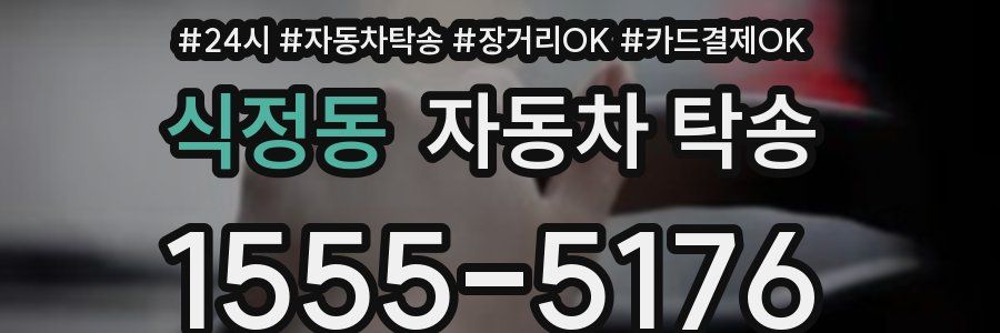 식정동 자동차 탁송