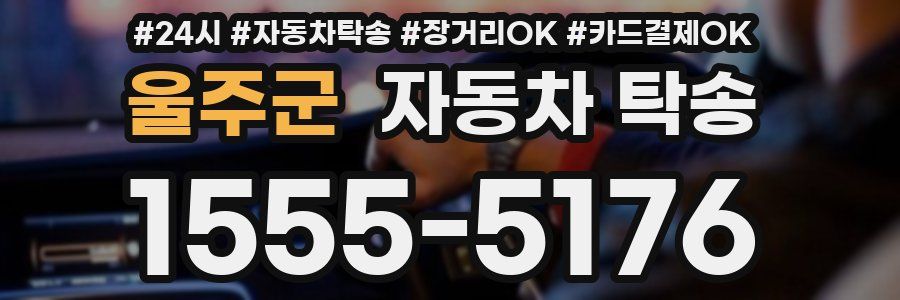 울주군 자동차 탁송