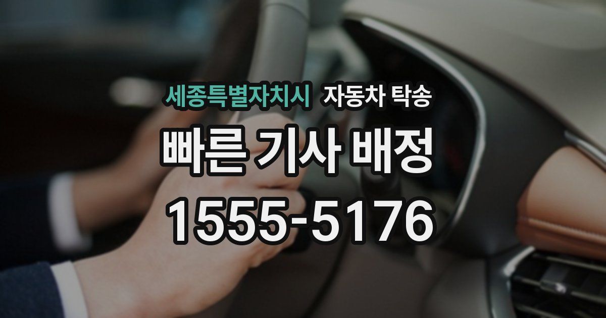 세종특별자치시 자동차 탁송