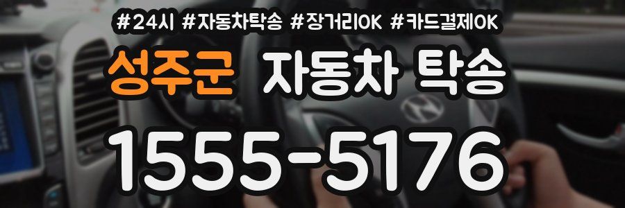 성주군 자동차 탁송