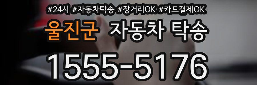 울진군 자동차 탁송