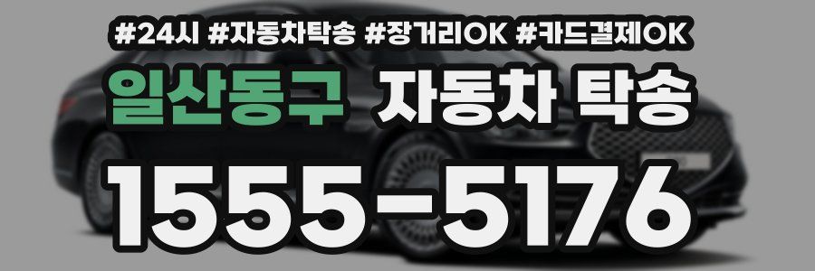 일산동구 자동차 탁송