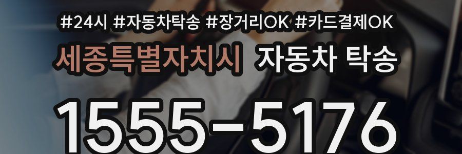 세종특별자치시 자동차 탁송