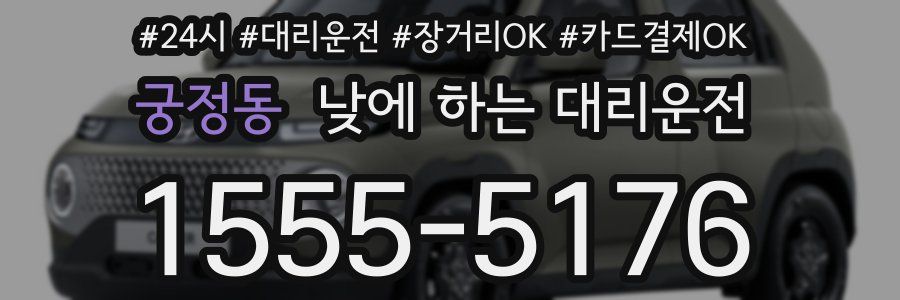 궁정동 낮에 하는 대리운전