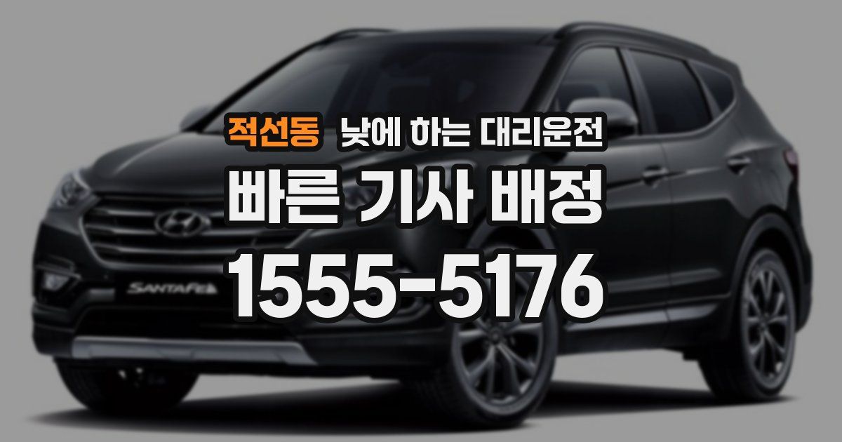 적선동 낮에 하는 대리운전