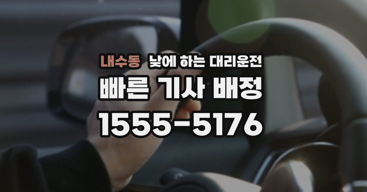 내수동 낮에 하는 대리운전