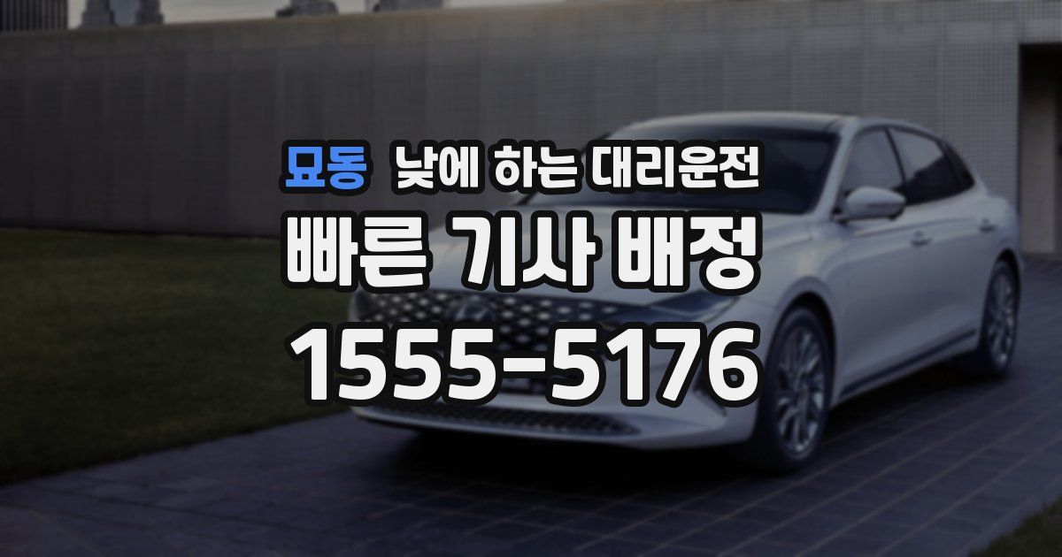 묘동 낮에 하는 대리운전