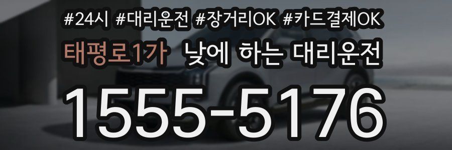 태평로1가 낮에 하는 대리운전