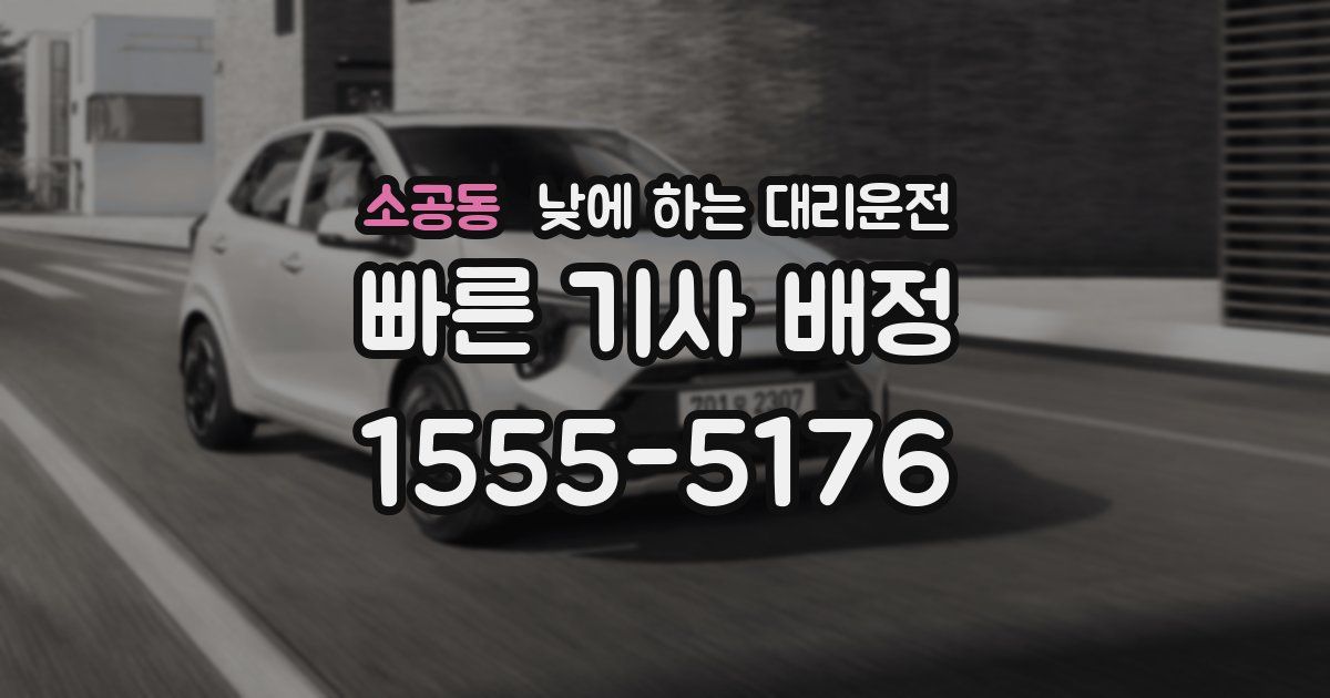 소공동 낮에 하는 대리운전