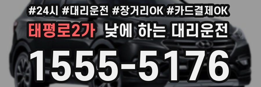 태평로2가 낮에 하는 대리운전