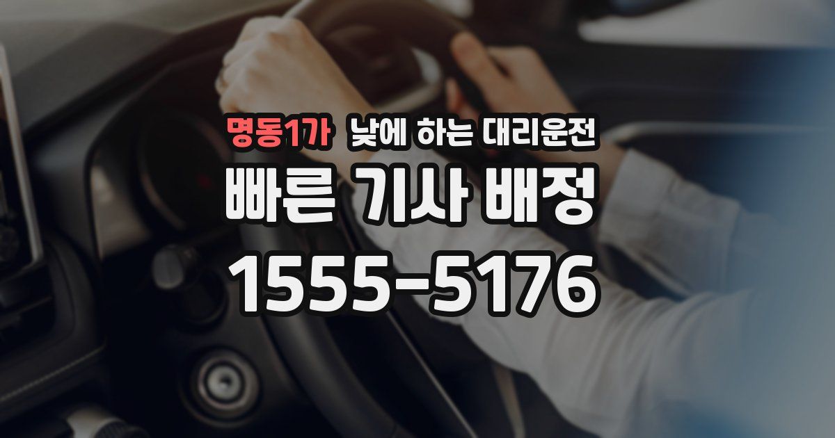 명동1가 낮에 하는 대리운전