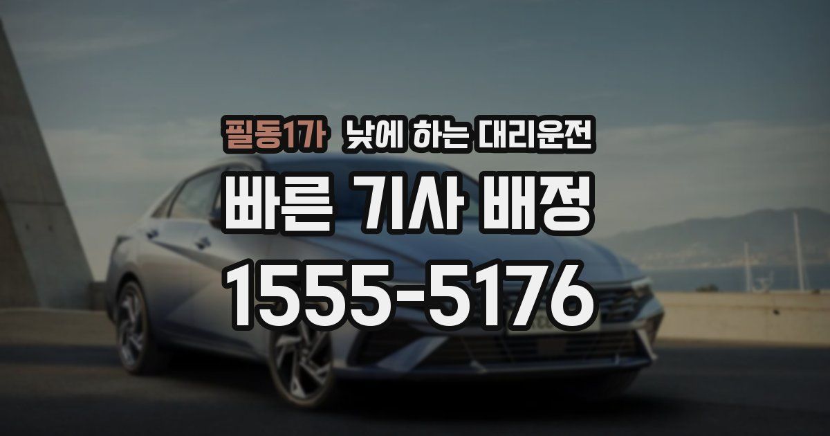 필동1가 낮에 하는 대리운전