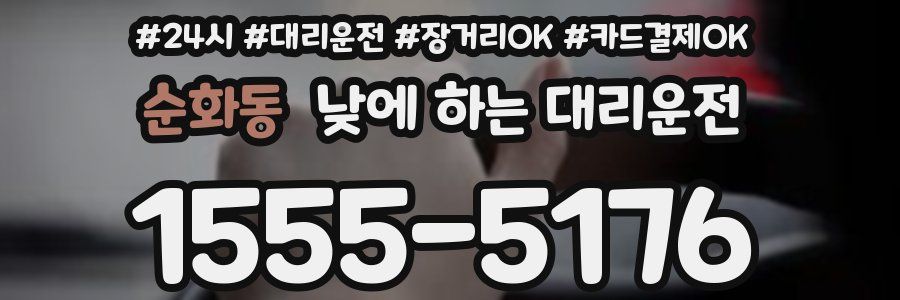 순화동 낮에 하는 대리운전