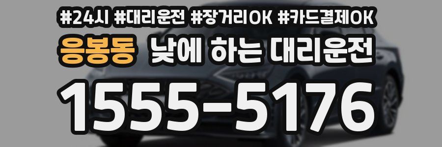 응봉동 낮에 하는 대리운전