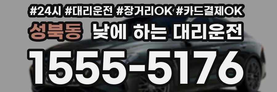 성북동 낮에 하는 대리운전