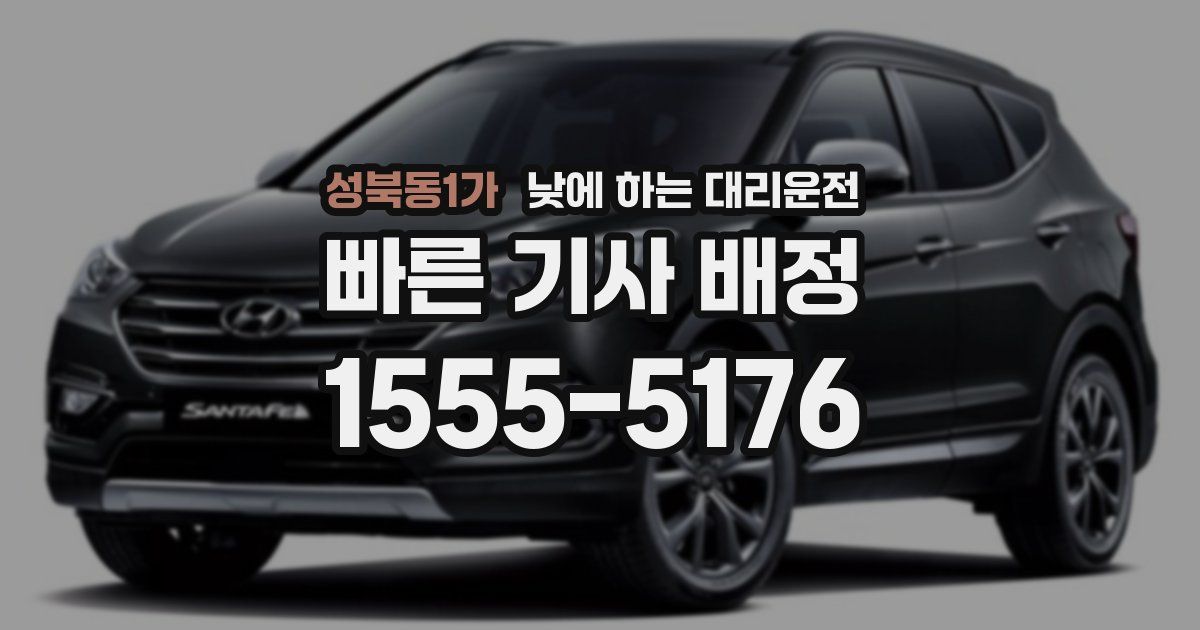 성북동1가 낮에 하는 대리운전