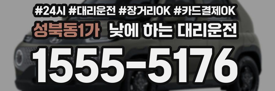 성북동1가 낮에 하는 대리운전