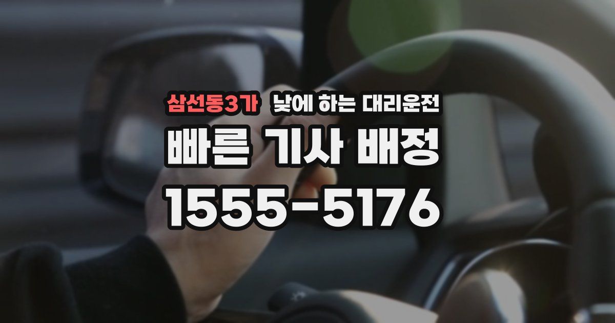 삼선동3가 낮에 하는 대리운전