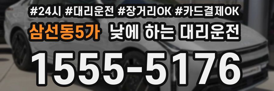 삼선동5가 낮에 하는 대리운전