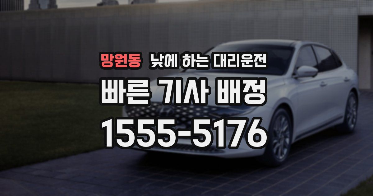 망원동 낮에 하는 대리운전