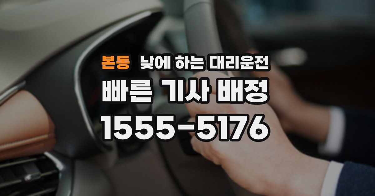 본동 낮에 하는 대리운전
