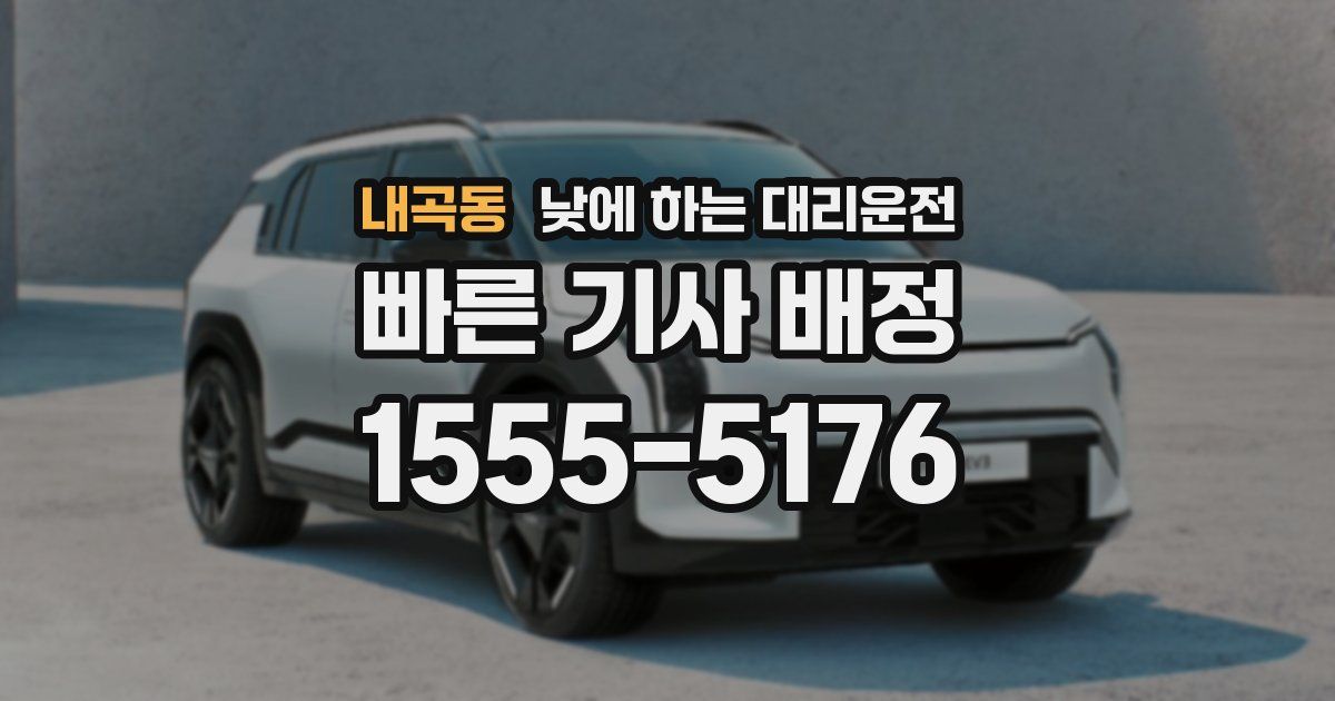 내곡동 낮에 하는 대리운전