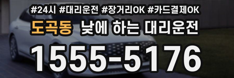 도곡동 낮에 하는 대리운전