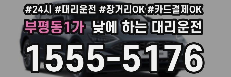 부평동1가 낮에 하는 대리운전