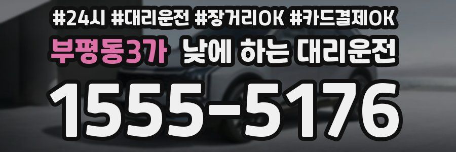 부평동3가 낮에 하는 대리운전