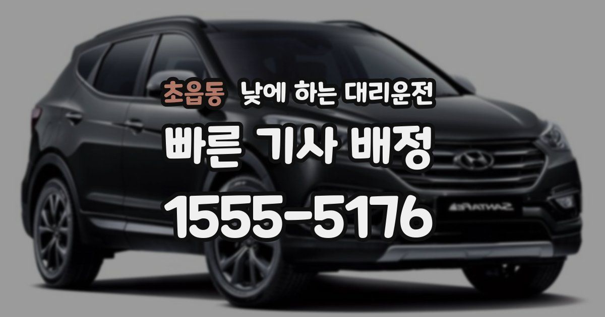 초읍동 낮에 하는 대리운전