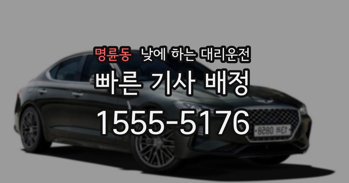 명륜동 낮에 하는 대리운전