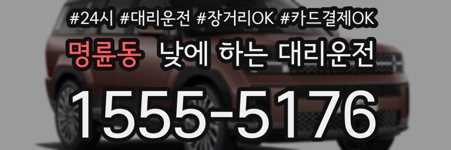 명륜동 낮에 하는 대리운전