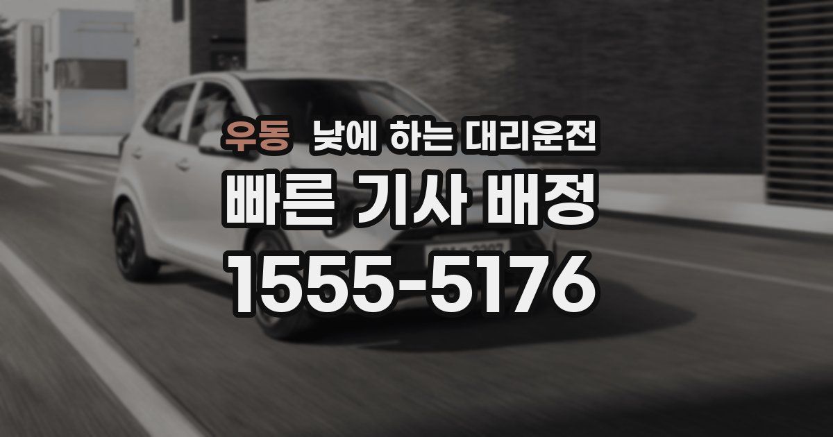 우동 낮에 하는 대리운전