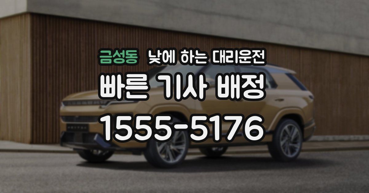 금성동 낮에 하는 대리운전