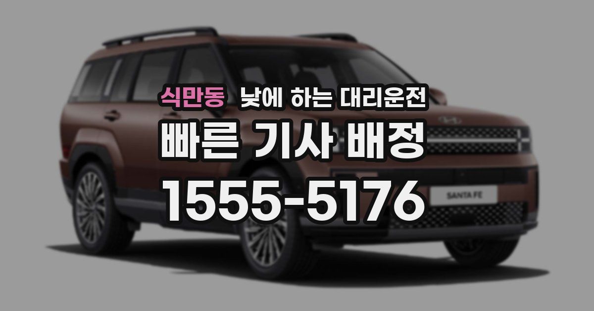 식만동 낮에 하는 대리운전