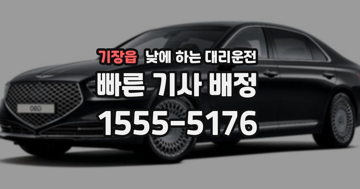 기장읍 낮에 하는 대리운전