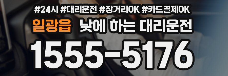 일광읍 낮에 하는 대리운전