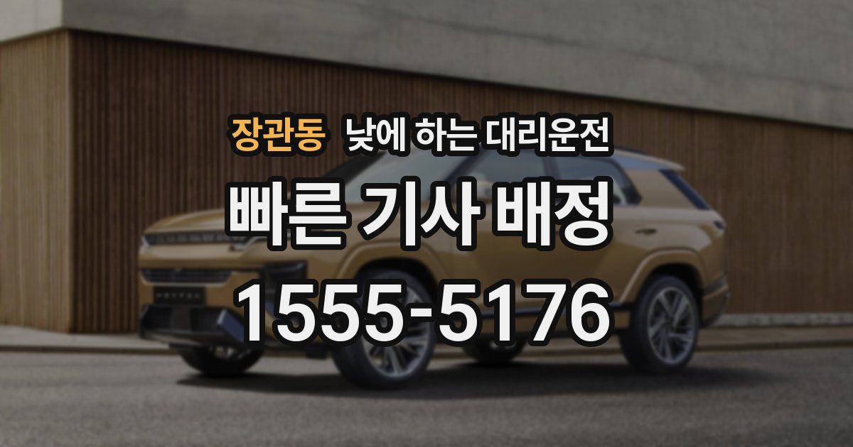 장관동 낮에 하는 대리운전