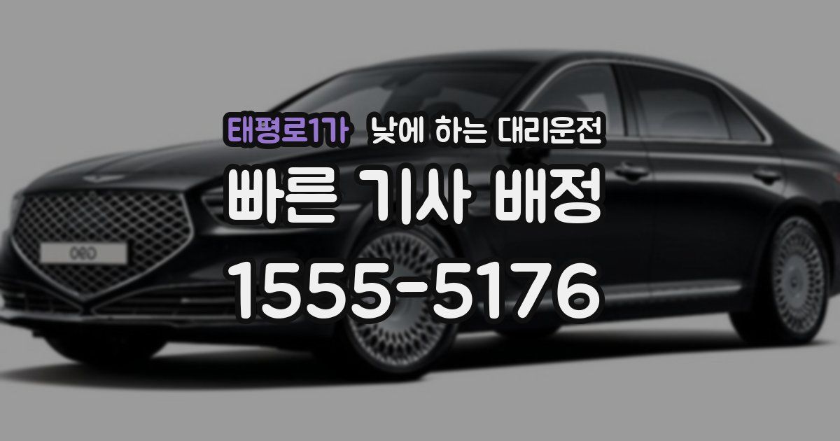 태평로1가 낮에 하는 대리운전