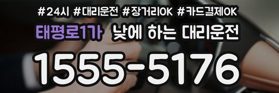 태평로1가 낮에 하는 대리운전