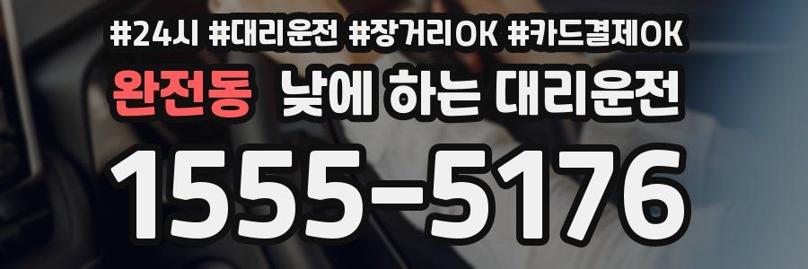 완전동 낮에 하는 대리운전