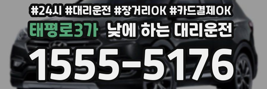 태평로3가 낮에 하는 대리운전