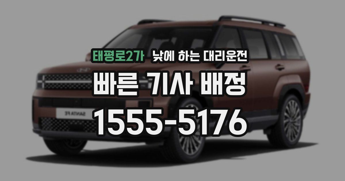 태평로2가 낮에 하는 대리운전