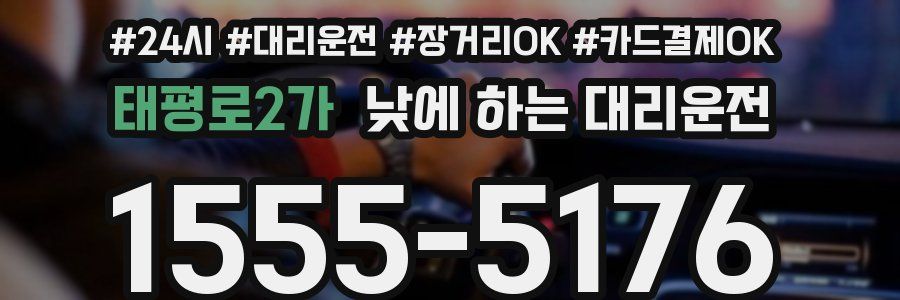 태평로2가 낮에 하는 대리운전