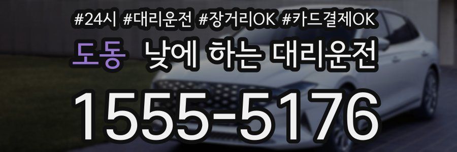 도동 낮에 하는 대리운전