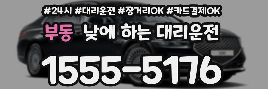 부동 낮에 하는 대리운전
